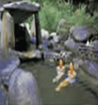 人体养生浴
